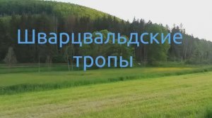 Шварцвальд в закатном свете