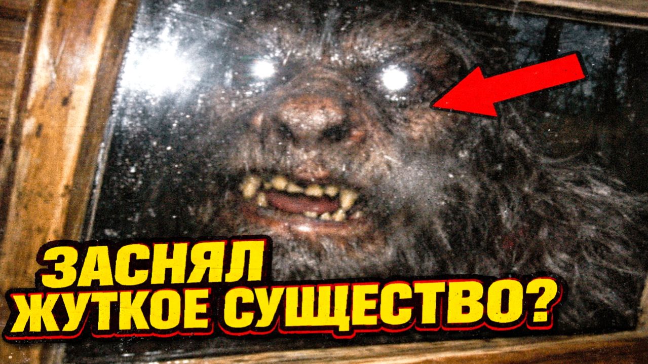 Снежный человек заглянул в окно лесной хижины? Мужчина случаной заснял жуткую морду на мыльницу смотреть онлайн