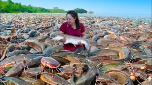 Ловля сомов и продажа их на рынке. Как ловить рыбу наиболее эффективно. Жизнь во Вьетнаме