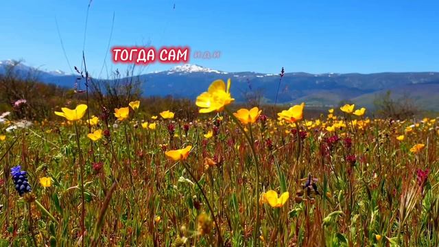 Притча о взаимопонимании и гармоничных отношениях.