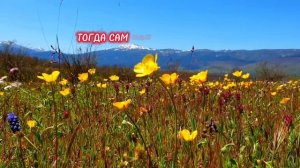 Притча о взаимопонимании и гармоничных отношениях.