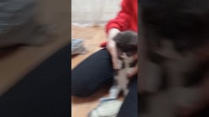 влог в Барнауле