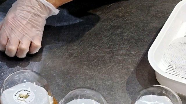 БАГИРА ОКОТИЛА СЛОНИКА!