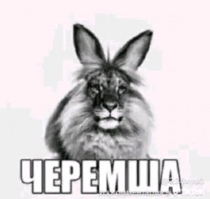 играю в Майн и смотрю мемчики