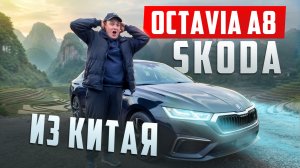 Skoda Octavia A8 Pro из Китая - подробный обзор от Clinlicar