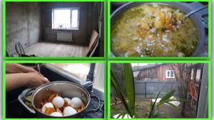 Продвижения в ремонте дома. Крашу яйца и рассольник с красным рисом. Храню розы до высадки.