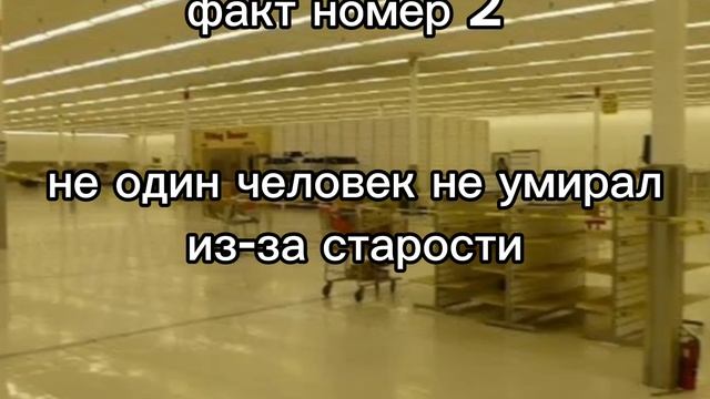 факт 2