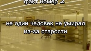 факт 2