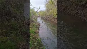 лобное место