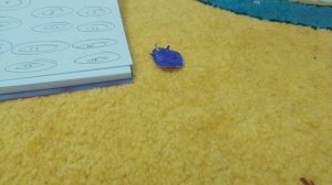 VID_20260412_044310.mp4