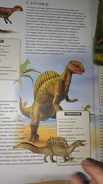 Авторы БДЭД точно от жизни отстали...🏃♂️