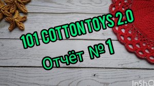 101 cottontoys 2.0 Отчёт №1