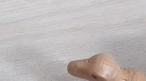 .mp4 6ая Серия: динозаврики приехали на пляж