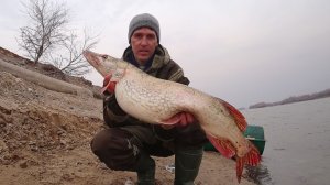 МОЯ САМАЯ КРУПНАЯ ЩУКА в ЖИЗНИ! Когда ХОД ВОБЛЫ 2021 ЭМОЦИИ в ЗАШКАЛЕ! Мой ТРОФЕЙ!