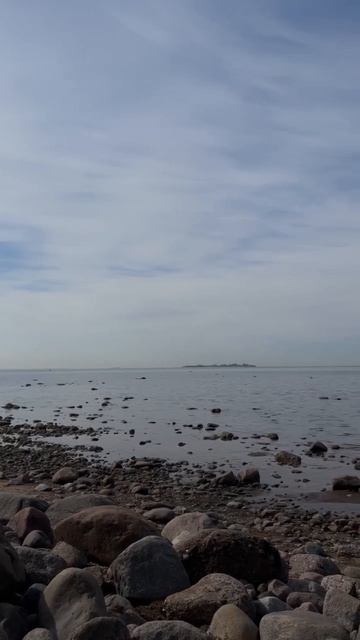 Ленинградская область 12.04.2026