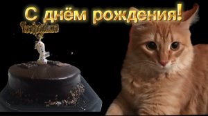 С Днём рождения, Мурыш! Поздравление КОТА МУРЫША! | ОЧЕНЬ ВАЖНАЯ ИНФОРМАЦИЯ!