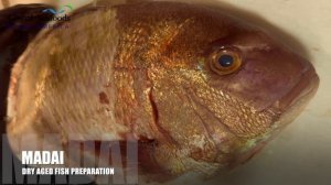 Точность и вкус 🐟🔪 Подготовка экзотической рыбы к сухому вызреванию — это начало настоящего мастер