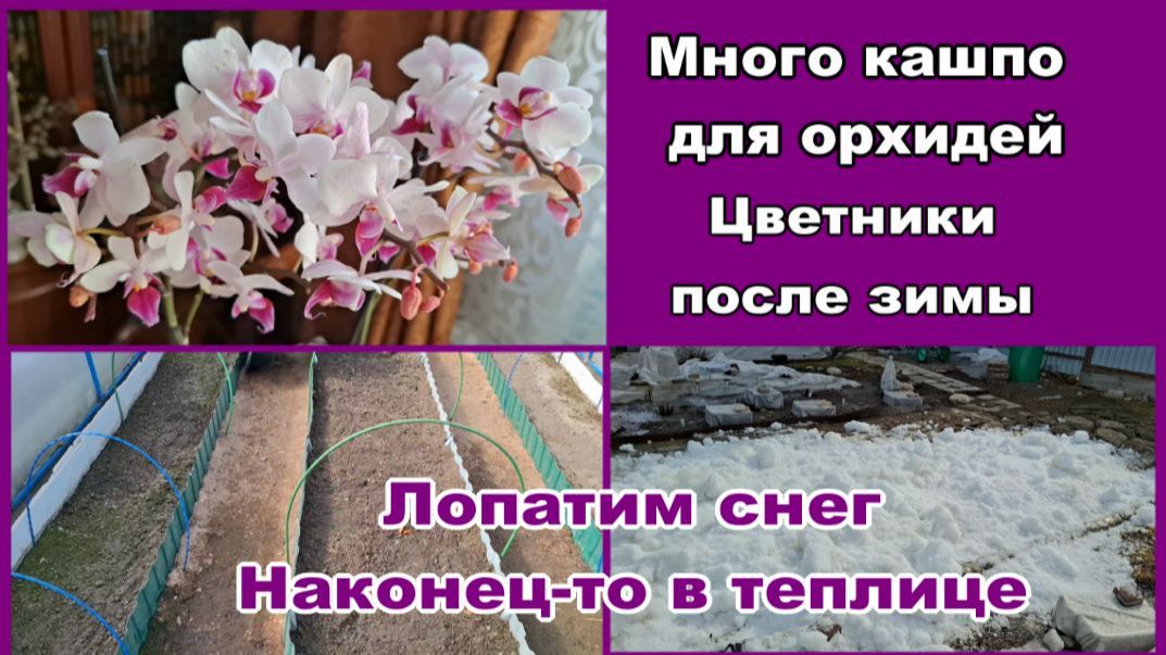 Живем просто/Кашпо/Цветники/Лопатим снег/Наконец-то в теплице