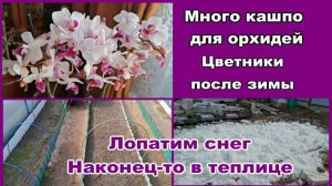 Живем просто/Кашпо/Цветники/Лопатим снег/Наконец-то в теплице