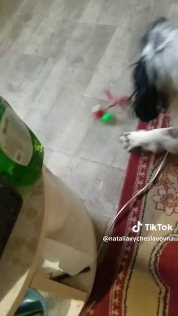 Новая игрушка...)))