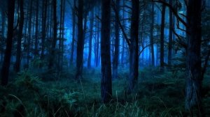 Ночной лес для сна и медитации - звуки природы