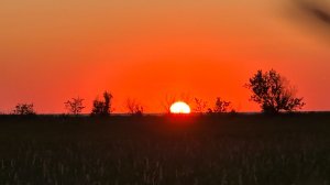 Арина показывает природу хутора и красоту заката