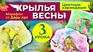 Марафон «Крылья весны» __ Цветная карандаши