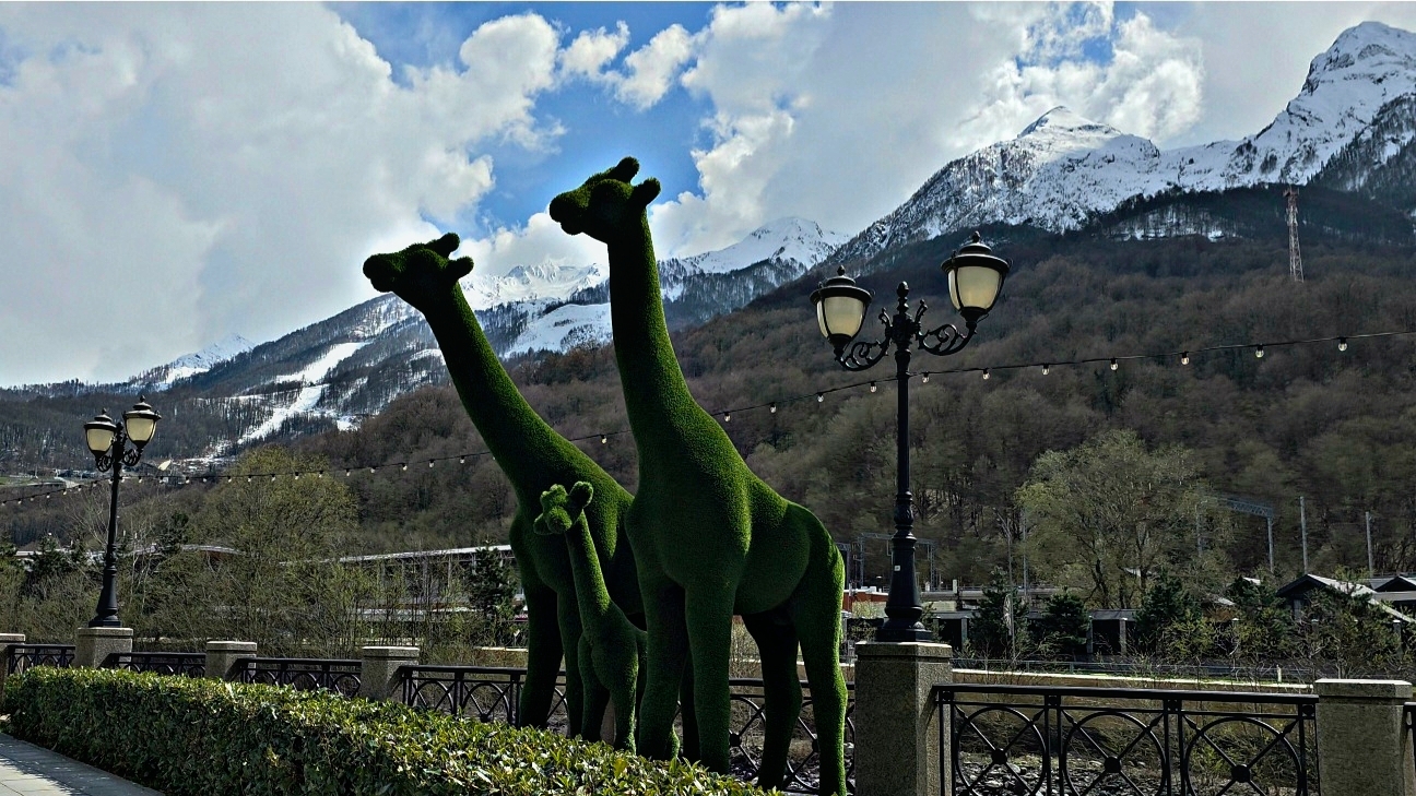 ✅️🏔12 АПРЕЛЯ В СОЧИ: +10°, ГАЗПРОМ И РОЗА ХУТОР. СУМАСШЕДШИЕ ВИДЫ. РОЗА ХУТОР 2026