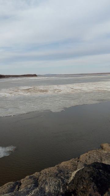 Река Амур. 12.04.26