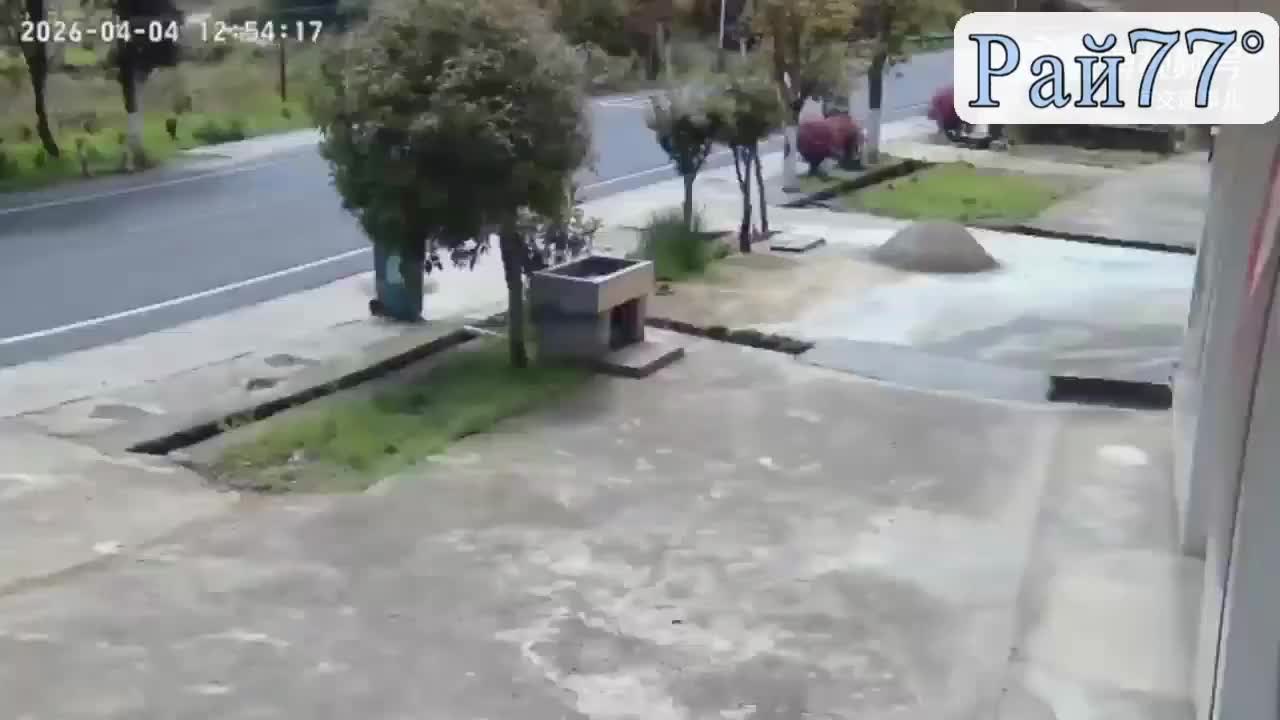 Завалил мусоровоз