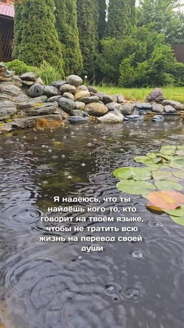 Перевод души