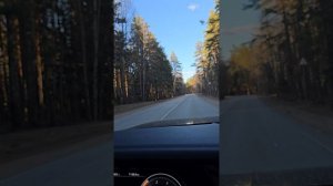 Дорога из Тихвина в Лодейное 04.26