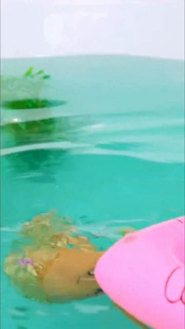 Пупсы ныряют за игрушками 💦 что найдут под водой? #игрушкидлядевочек #длядетей #куклы