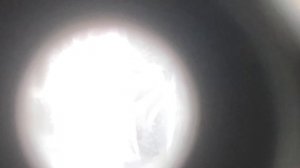 Биноколь одноглазый