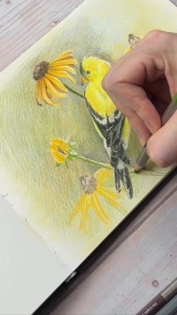 🌿 Весна уже здесь! Совсем скоро новый, яркий марафон, посвященный этому чудесному времени!