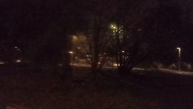 Как же красиво поют птицы