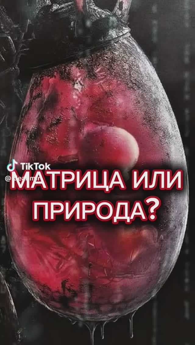 Матрица или природа