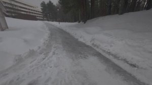 Сестрорецкий курорт.