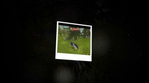 с пасхой вас