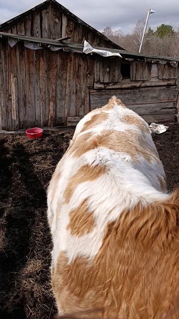 Маруська хулиганит