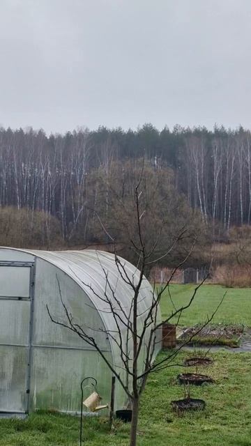 Всем доброе утро всем со светлой пасхой 12 апреля