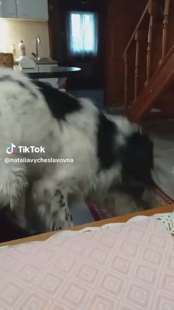 Давай, до свидания...)))