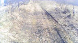 Прогулка на эндуро. обзор Honda xr250