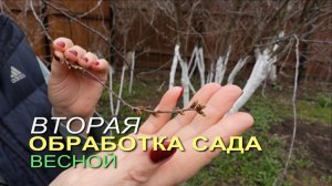 🌿ВТОРАЯ обработка сада весной!🌿