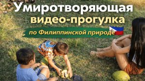 Умиротворяющая видео-прогулка по Филиппинской природе | PH