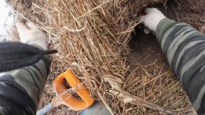 кресты монеты и раритеты