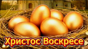 Поздравляю с Пасхой: Христос Воскресе! Красивые открытки и пожелания | Домохозяйка Ната