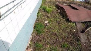 Поздравление с Пасхой