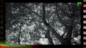 Иэс.Взгляд в прошлое. Алиев Иса.. Эфир от 04 03 2026