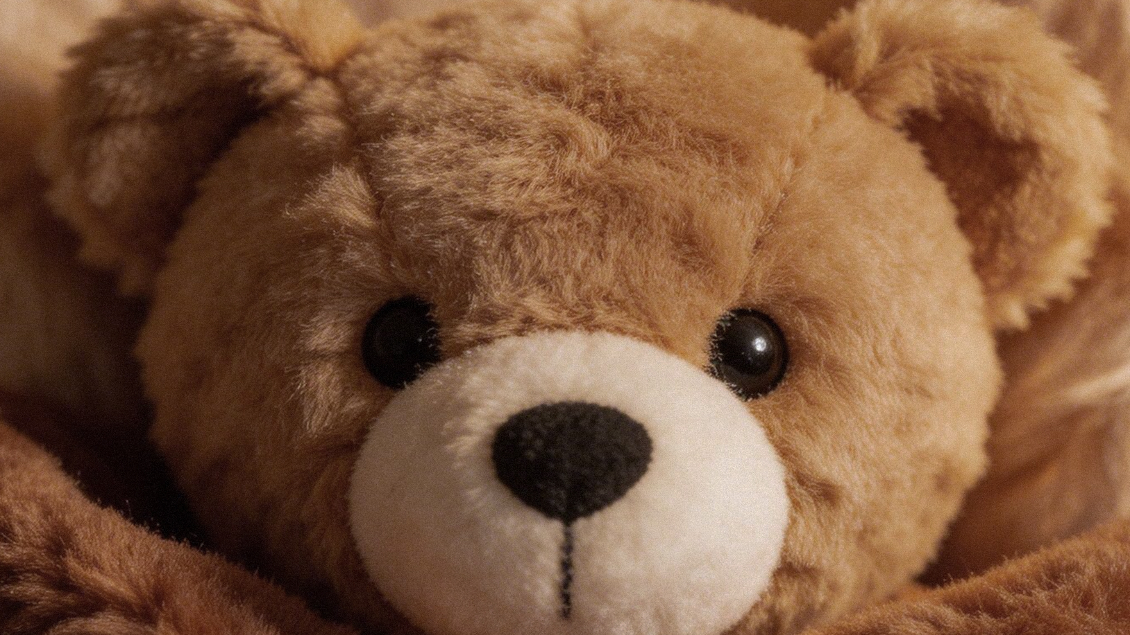 всем5 приветули